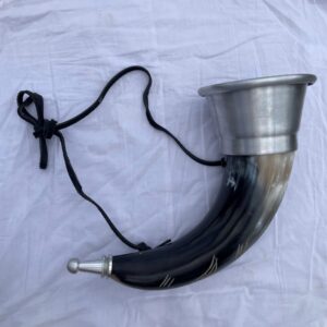 Combination Horns