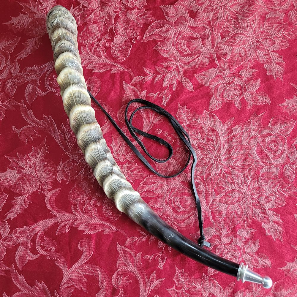 Combination Drinking & Blowing Horn - Waterbuck